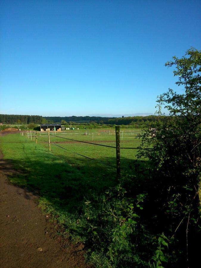 Bed and Breakfast Clumber Lane End Farm Вёксоп Экстерьер фото